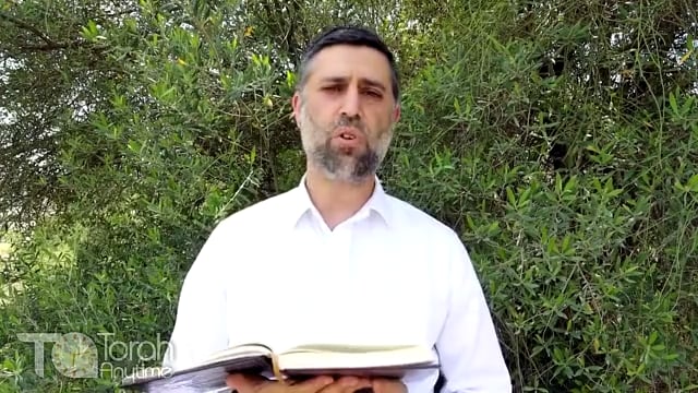 Bitachon 111: Hashem is my Shield