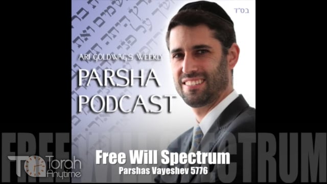 Parashat Vayeshev: Free Will Spectrum