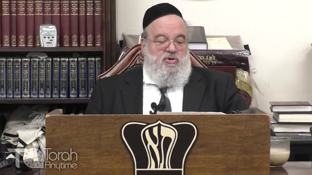 Parashat Naso - Your 4 elements that lead