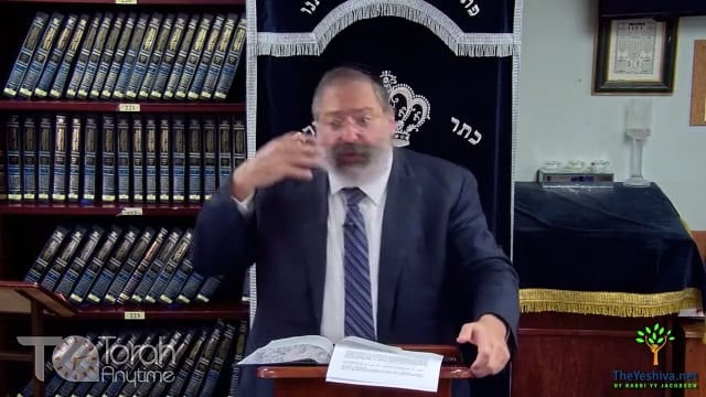 Parshat Shelach: Where Is Paradise? Why Women Don't Grasp the Sin of the Spies