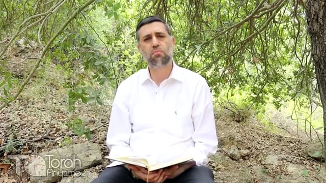 Bitachon 116: Hashem is my Shepherd