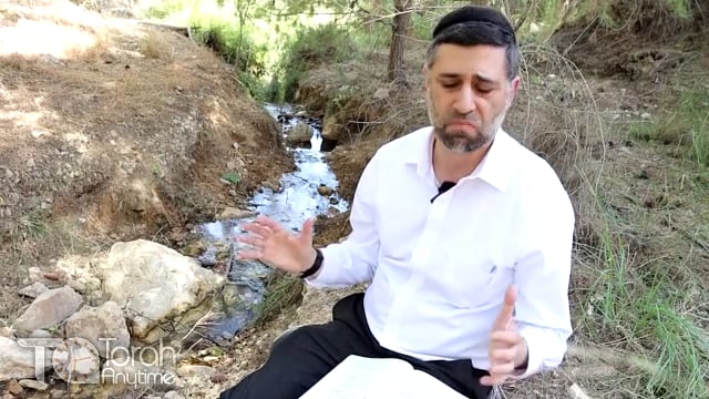 Bitachon 117: On Tranquil Waters