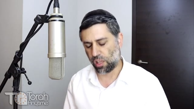 Matos-Masei: Israel the Desired Land