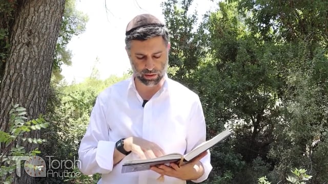 Bitachon 120: Torah and Abundance