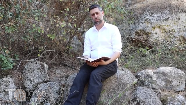Bitachon 123 - Following Dovid Hamelech's Lead