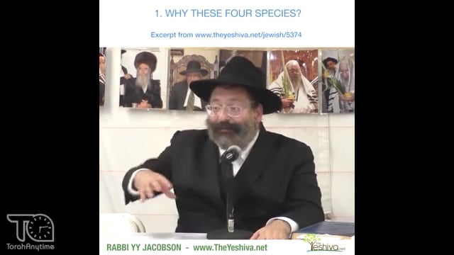 Haderech Sukkos Sparks of Inspiration