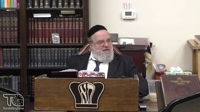 Parashat Noach - Getting the influences from the right neighborhood