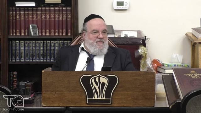 Parashat Noach - Ceasing the opportunities of our Lifetime