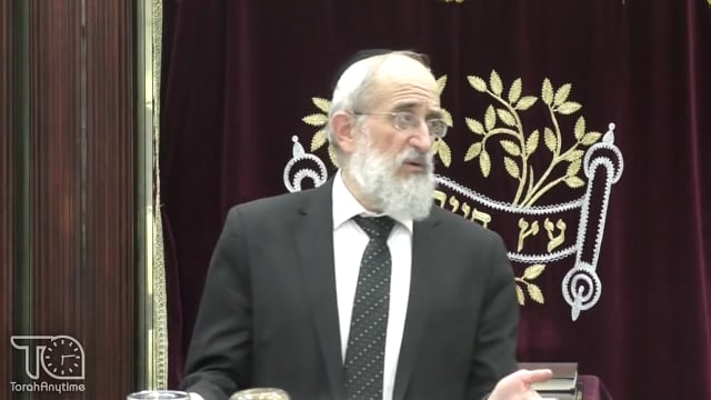 Late Night Mishmar With Rabbi Reisman: Sfek Sfeika