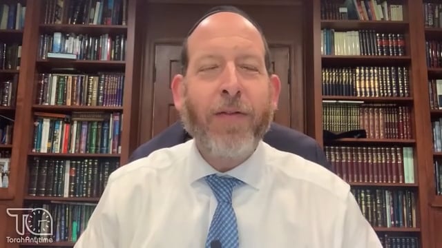 Noach- Grab the Dove