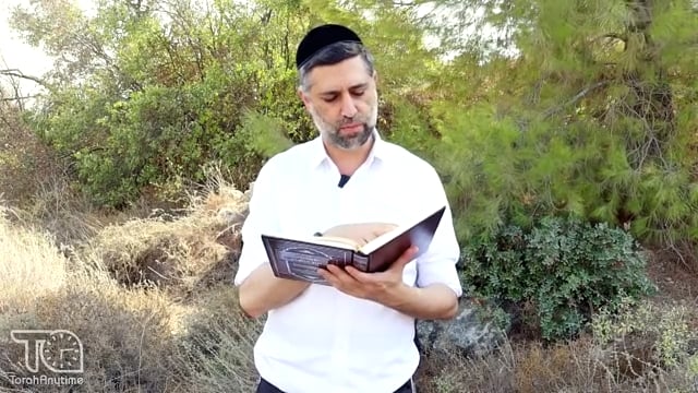 Bitachon 133 - Hashem Fights Our War