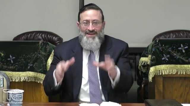 Internal Fighting, Abundant Peace, & a Lot to Learn From Avraham & Lot