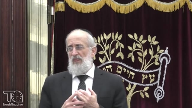 Late Night Mishmar With Rabbi Reisman: Shomea K'Oneh - The Famous Machlokes Between The Netziv and The Bais Halevi On How It Works.