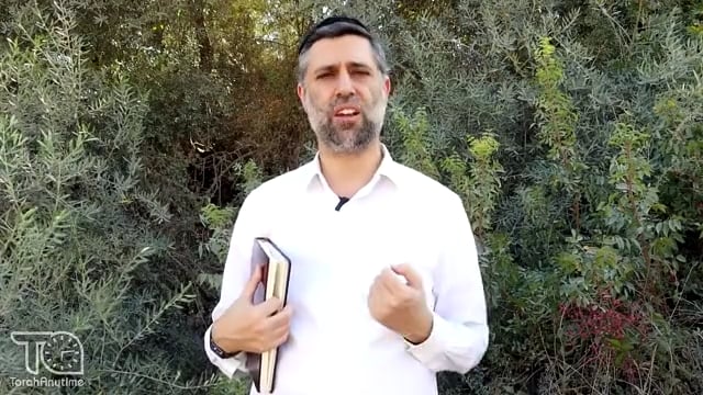 Bitachon 134: Wars Are Won by Hashem