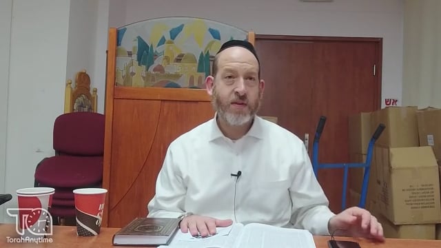 Daf Yomi- Kiddushin 81b