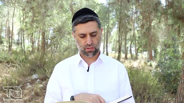 Bitachon 135 - Israel's Enemies Are a Facade