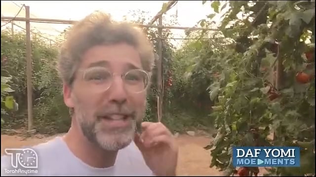 Farming by Gaza (Baba Kama 6)