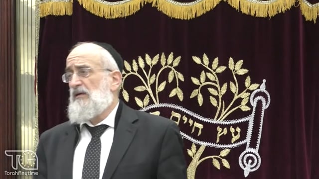 Late Night Mishmar With Rabbi Reisman: Understanding Pshat In Tosfas That "Ishto Is NOT Called B'Nei Baiso"