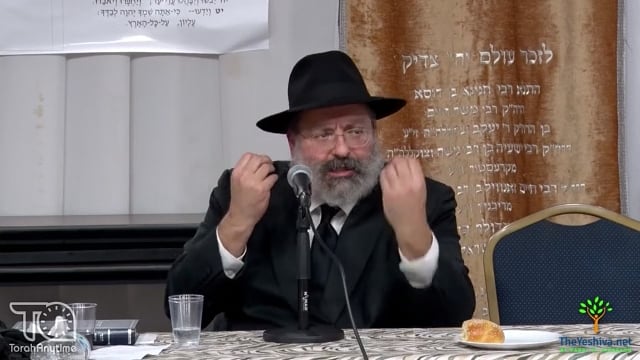 The Lubavitcher Rebbe's View on the Security of Israel
