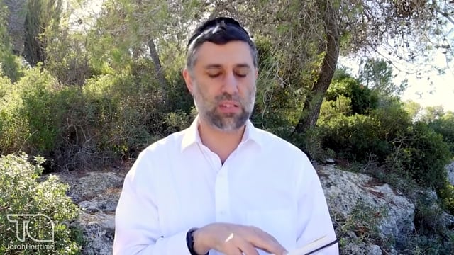 Bitachon 141: Israel's Special Hashgacha