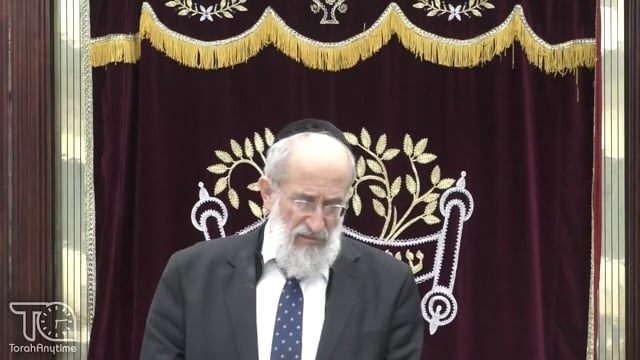 Late Night Mishmar With Rabbi Reisman: Hefsek In Middle Of Davening