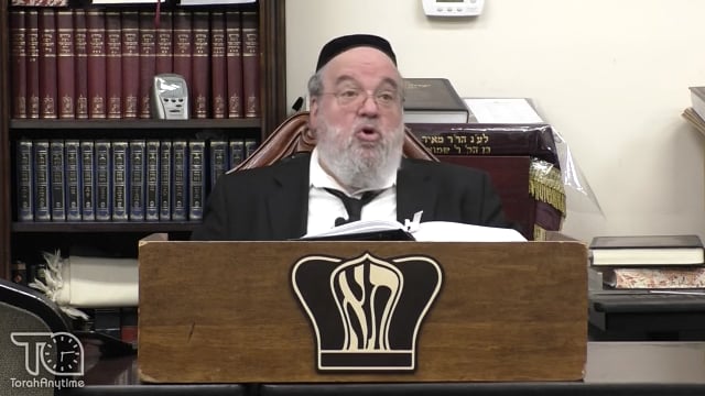 Parshas Va'eira- Reset Your Viewpoint