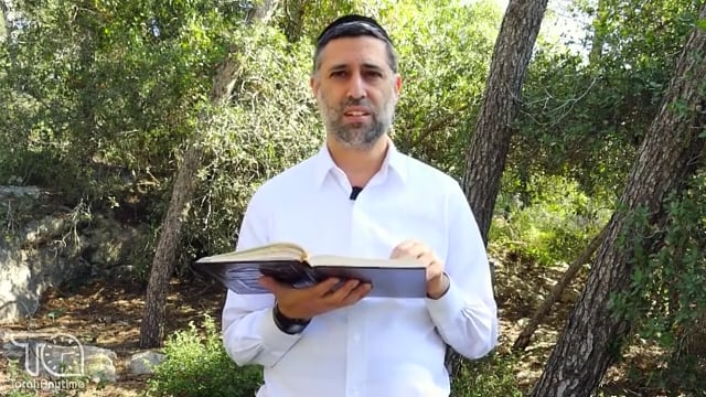 Bitachon 143: Israel's Victory is Hashem's