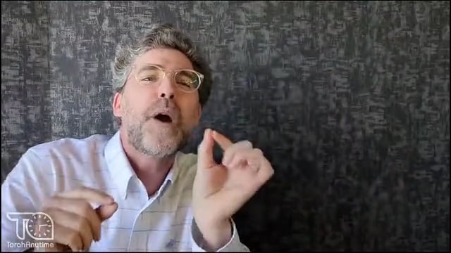 Why a DONKEY?!