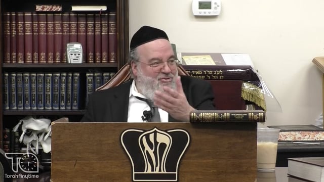Parshat Va'eira - Getting a grip on your mind