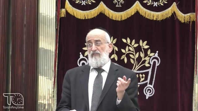 Late Night Mishmar with Rabbi Reisman; Bracha Sheina Tzricha