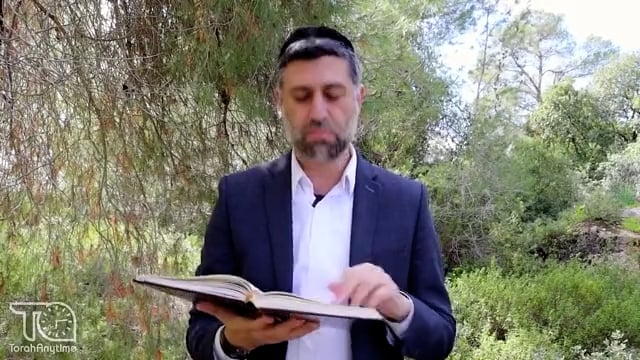 Bitachon 146: Taste Hashem's Goodness