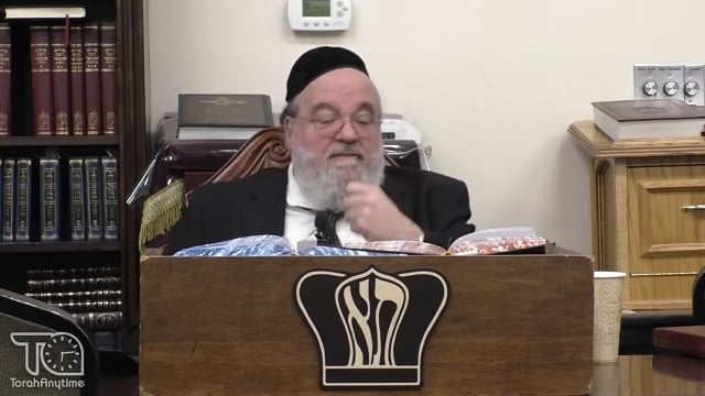 Parashat Mishpatim - The spinal chord of the Torah