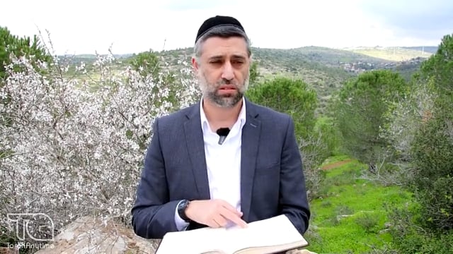 Bitachon 148: Fear Not - Israel's Enemies Won't Succeed