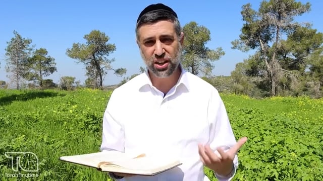 Bitachon 149: Israel's Source of Peace