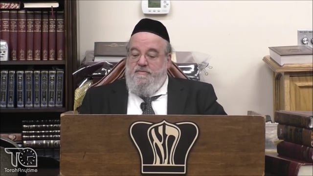Parshas Ki Sisa - The Zeidy's Attack