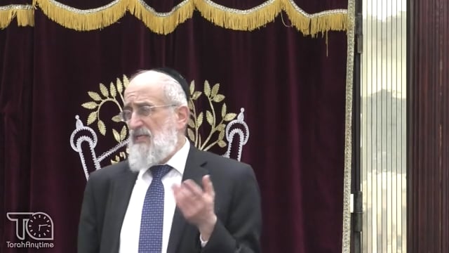 Late Night Mishmar With Rabbi Reisman: The "Tzlaf" Tree/Bush