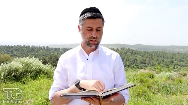 Bitachon 155: Israel Needs Torah's Protection