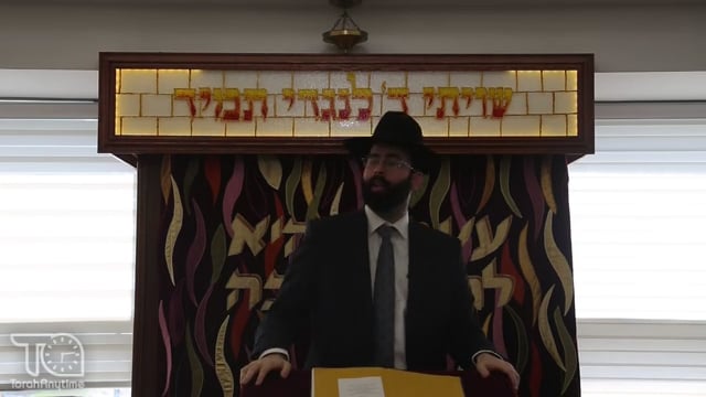 R' Meilech Biderman's INCREDIBLE Story and Lesson About the Wild Dog