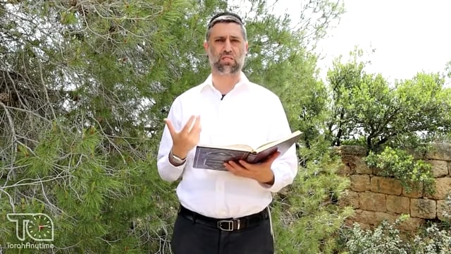 Bitachon 158: Israel Will See All Her Enemies Fall