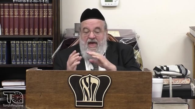 Parashat Emor - Ahavas Yisroel of the Bais Halevi