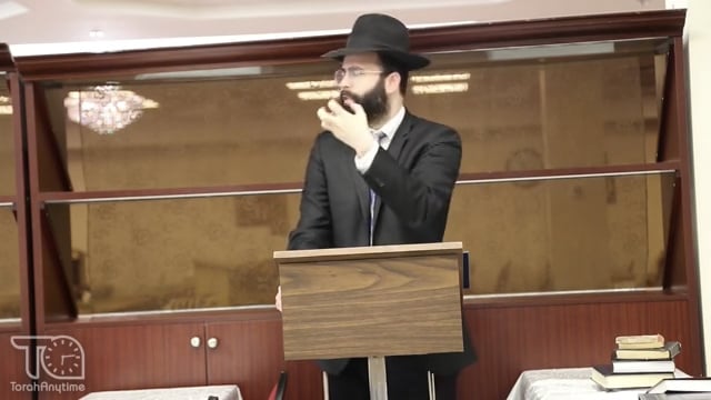 Emor: The Story About the Strange Tzedakah Request In The Final Will