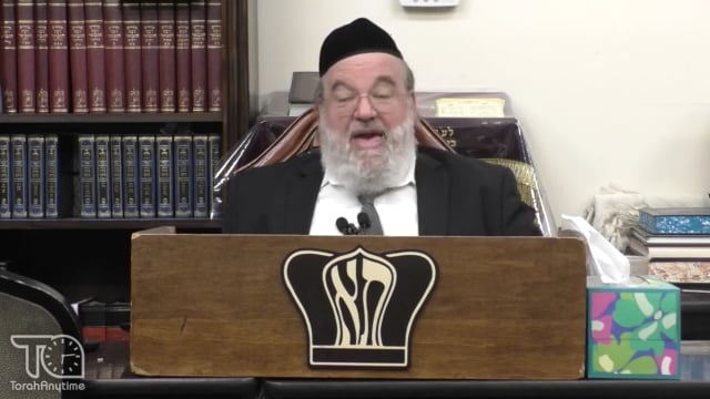 Parashat Bamidbar - Embarrassing yourself for Hashem