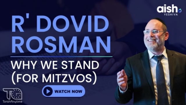 Why We Stand (For Mitzvos)