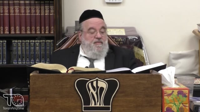 Parashat Bamidbar - The Torah perspective on Tzaros And Mashiach