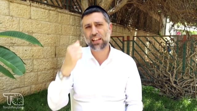Behaaloscha: Leading to Hashem's Will
