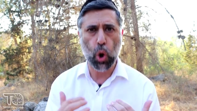 Moshiach 18: Gog Umagog 2024-2025