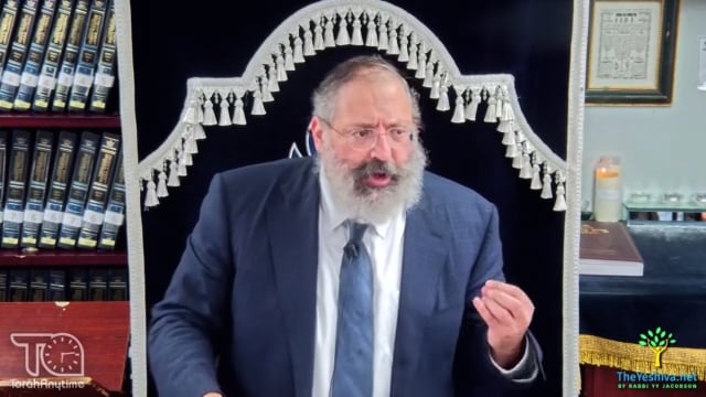 Three Weeks/Tisha B'Av: Is the Chick Stuck in the Egg? How We Relate to the Darkness in Our Lives