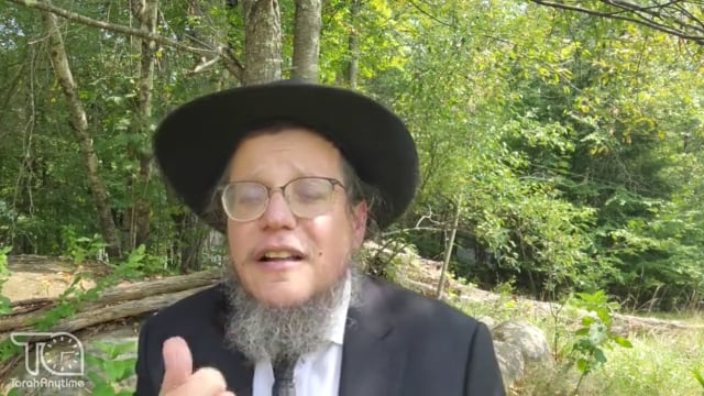 Lomdot on V'etchanan: The Lubatchiver Rebbe and Rav Hunter on Tefillin Campaign