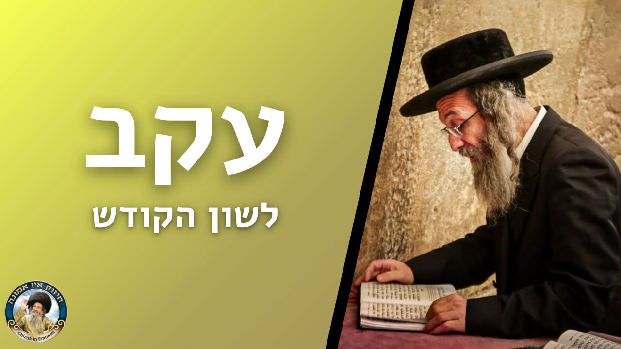   דברים קצרים פרשת עקב 
