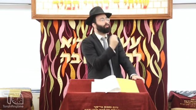 Re'eh: The Fascinating Way R' Shmuel Kamenetzky Shlita Eulogized the Great R' Elya Svei zt"l